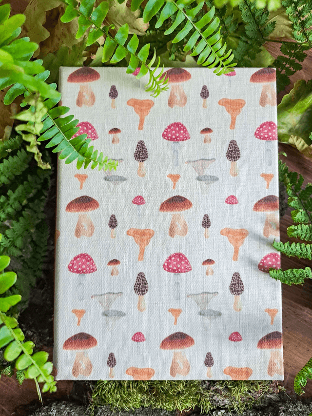 Carnet de recettes Cueillette de champignons