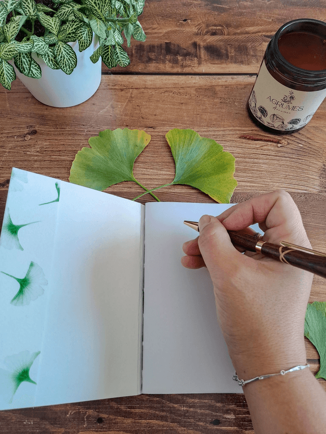 Compagnon Ginkgo vert petit modèle