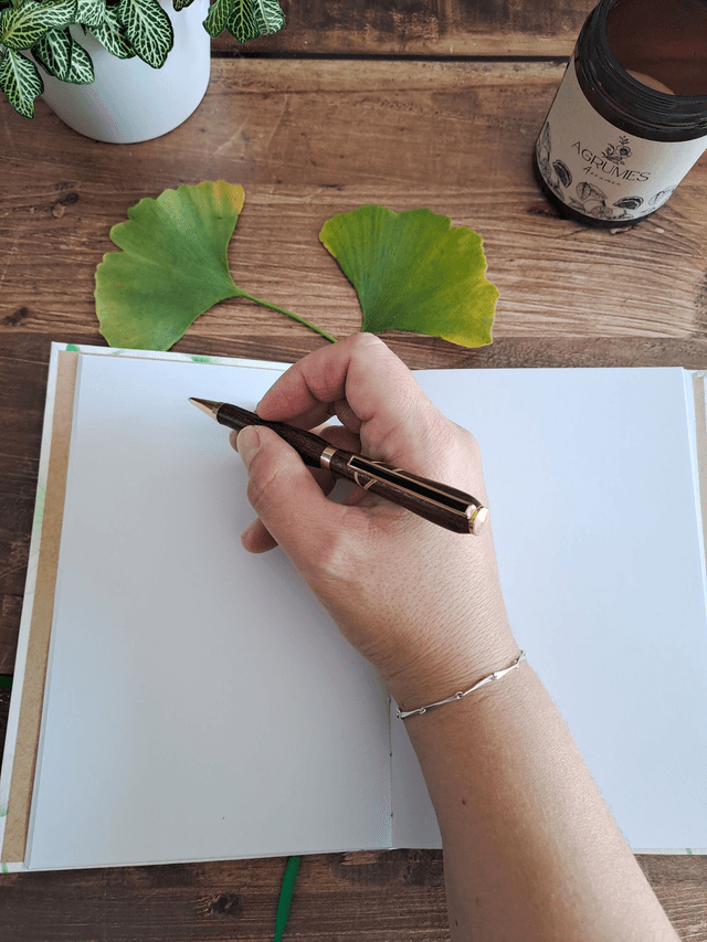 Compagnon Ginkgo vert grand modèle