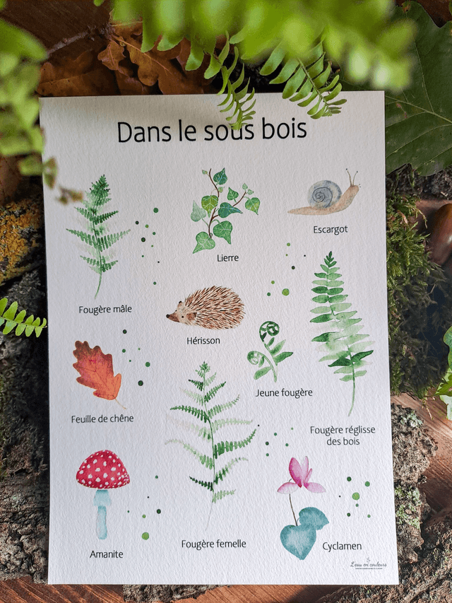 Affiche Fine Art Dans le sous-bois 