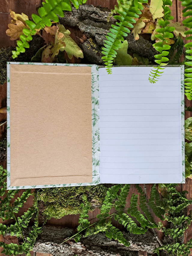 Carnet Fougères