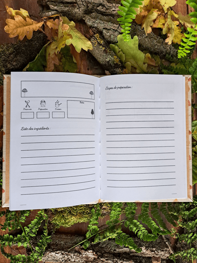 Carnet de recettes Cueillette de champignons