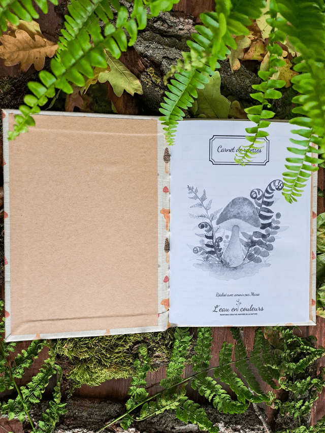Carnet de recettes Cueillette de champignons